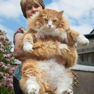 Meet your Posher, Mildred